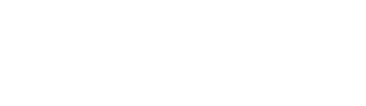 Logo Norsk Fysioterapeutforbund